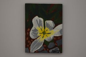 Flower at Central Park, NYC, 2022