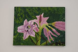 Flowers at Killarney National Park, Killarney, Ireland, 2023